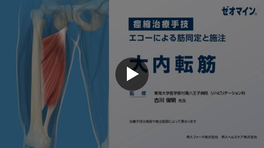 大内転筋