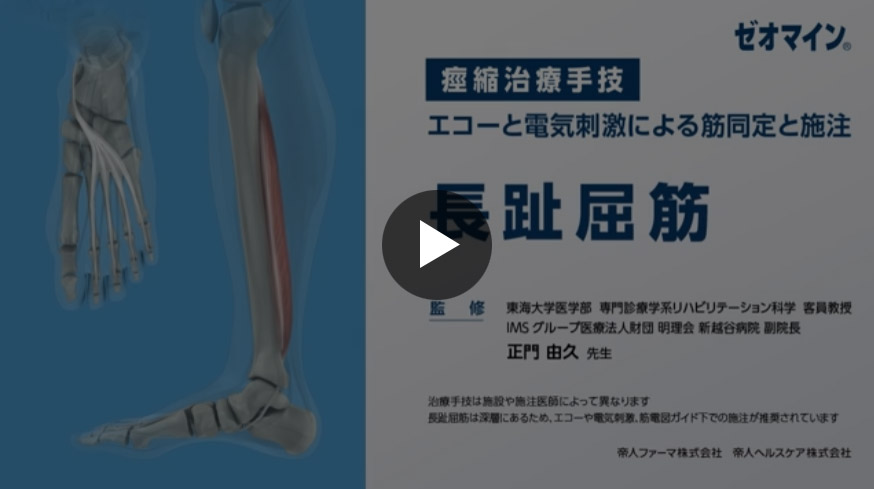 長趾屈筋