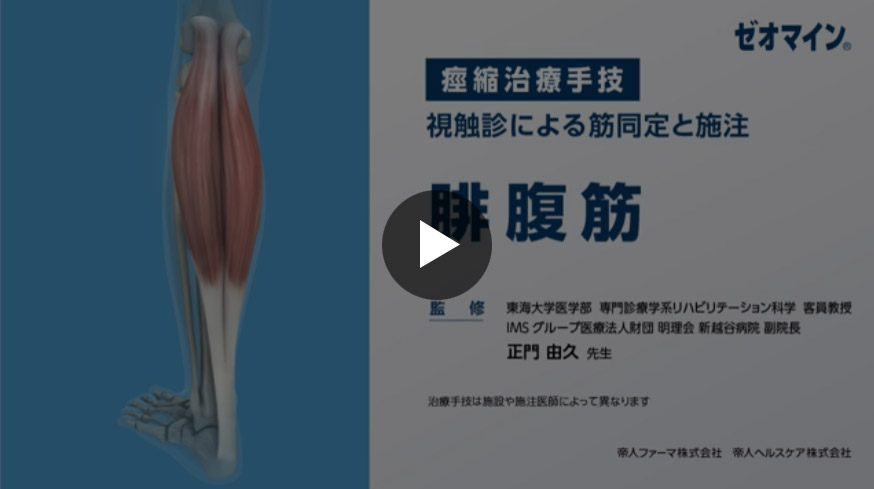 腓腹筋（内側頭/外側頭）