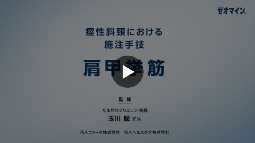 肩甲挙筋