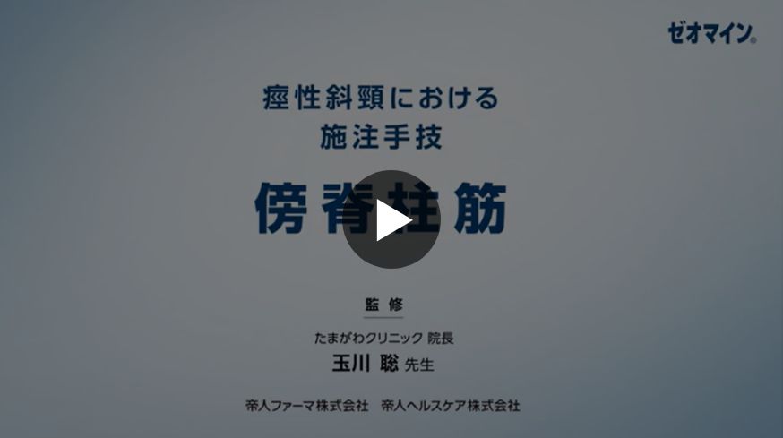 傍脊柱筋